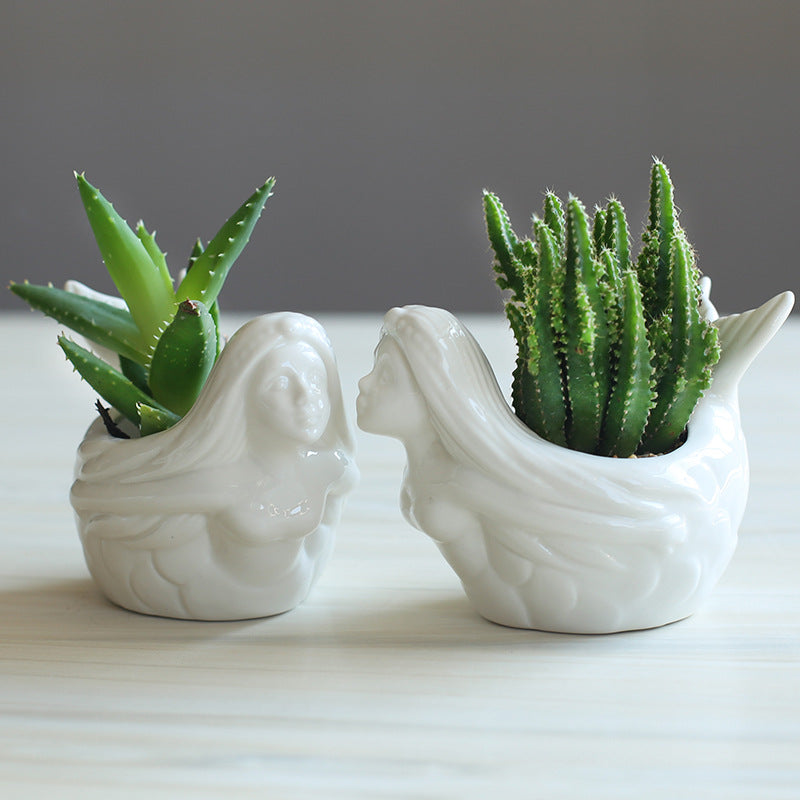 Vaso per succulente