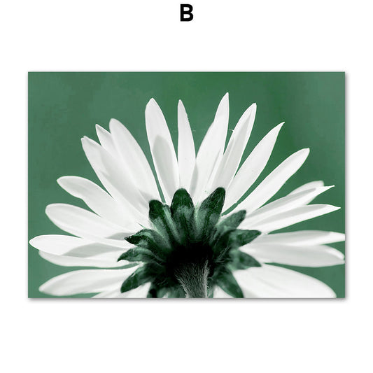 Quadro su tela Piante botaniche tulipani margherita verdi