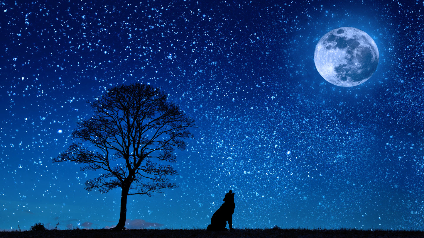 Arazzo con lupo e luna