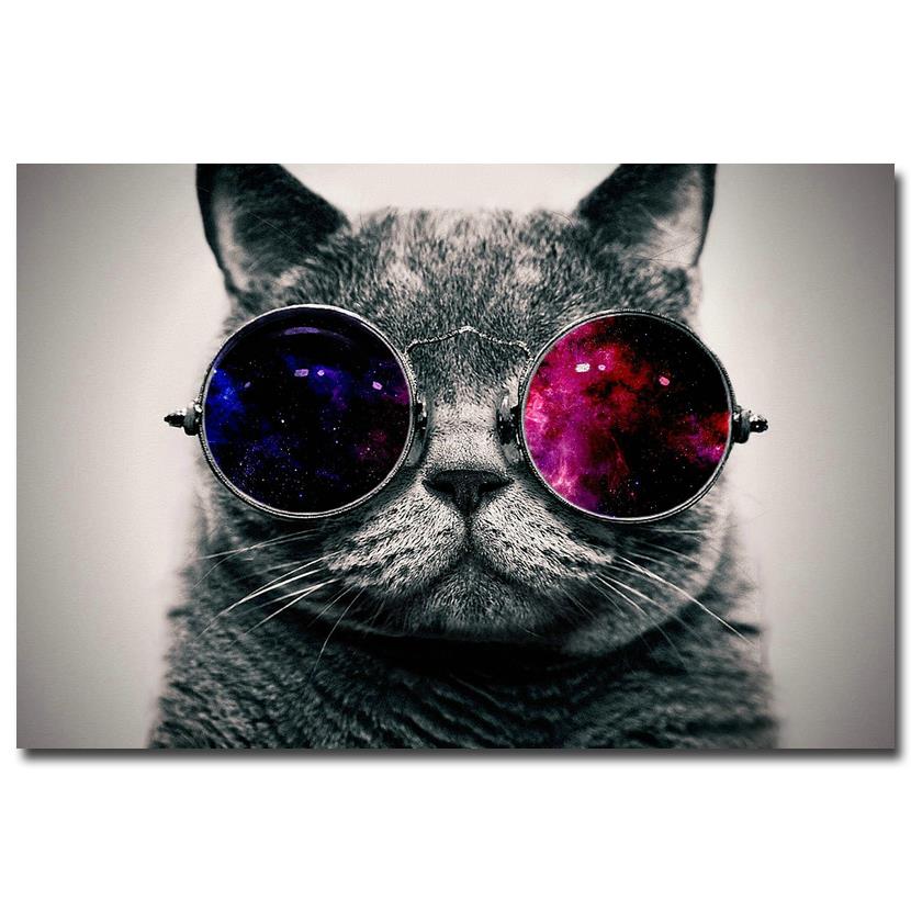 Poster gatto con occhiali