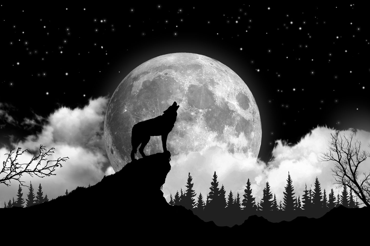 Arazzo lupo luna