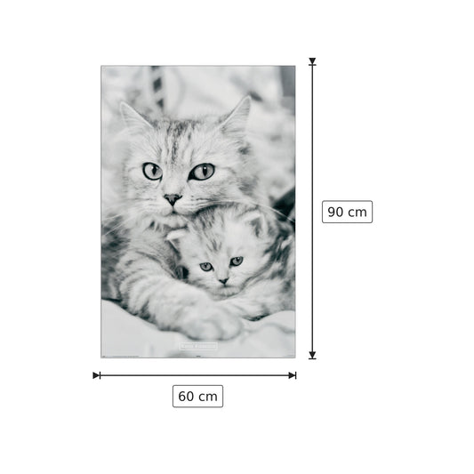 Gatto e gattino - Kimberlin - cm 60x90 - Pannello in MDF