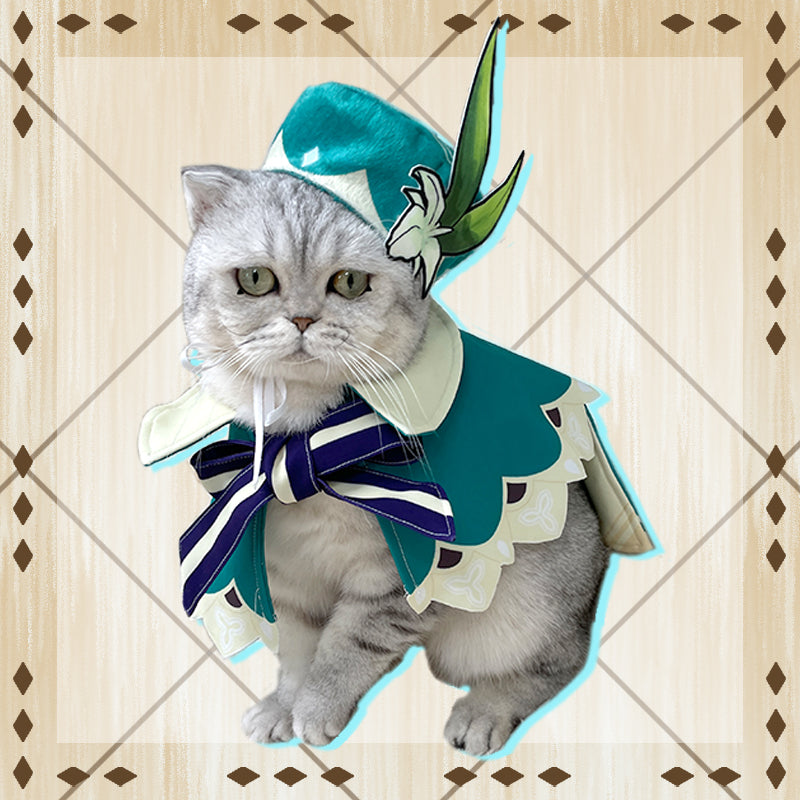 Costume Cosplay Anime