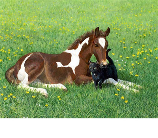 Quadro su tela Cavallo con madre e bambino