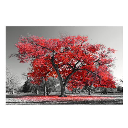 Quadro su tela Paesaggio con alberi