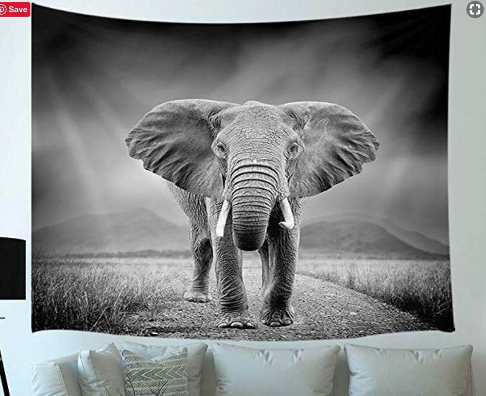 Tappezzeria elefante
