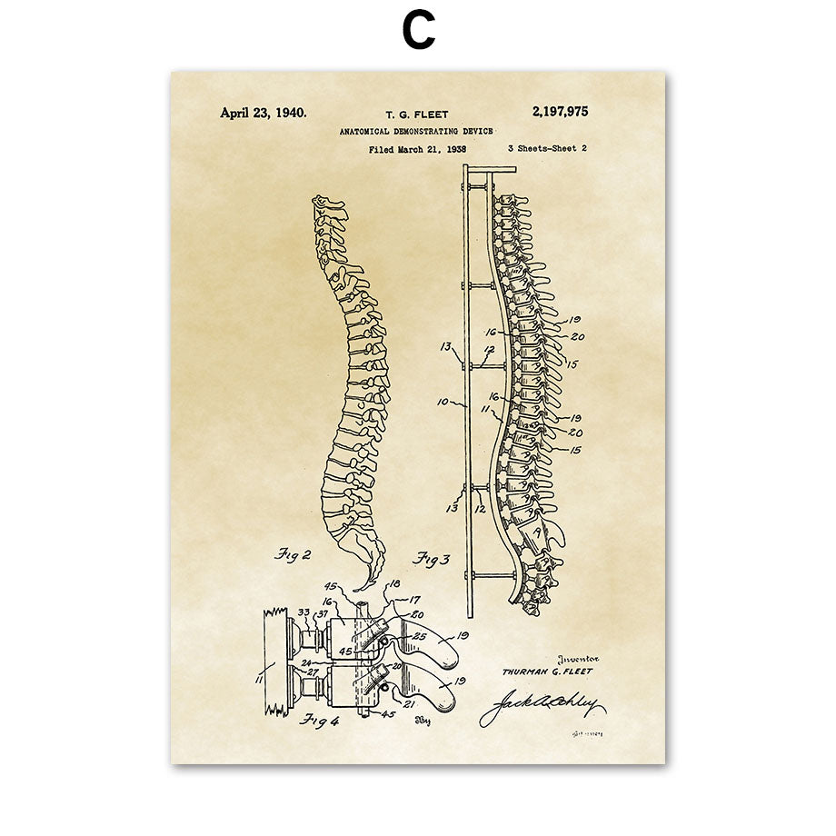 Tela Anatomia Vintage