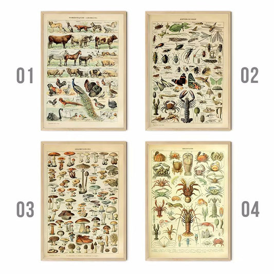 Quadro su tela Gufo con occhi gialli