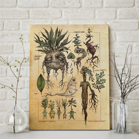 Poster Studio botanico piante