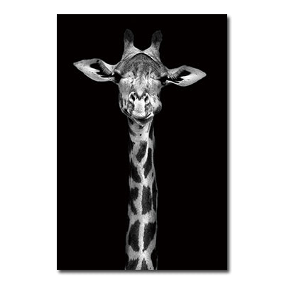 Poster tigre e leone bianco-nero