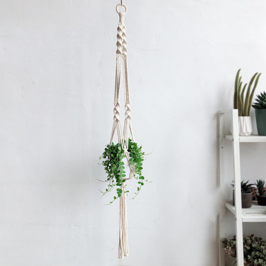 Arazzo Macramé con pianta sospesa