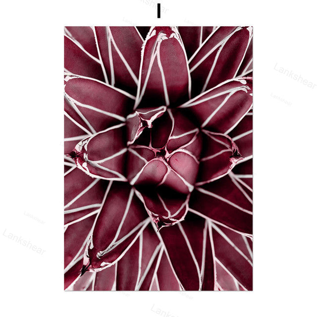 Quadro peonie