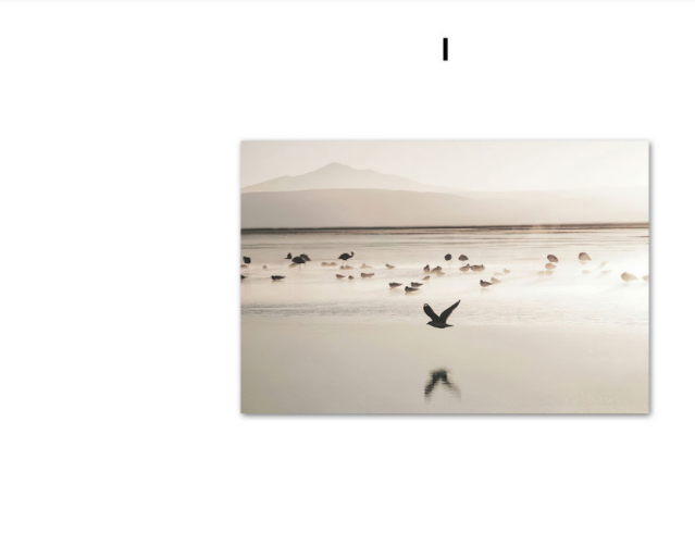 Quadro Decorativo