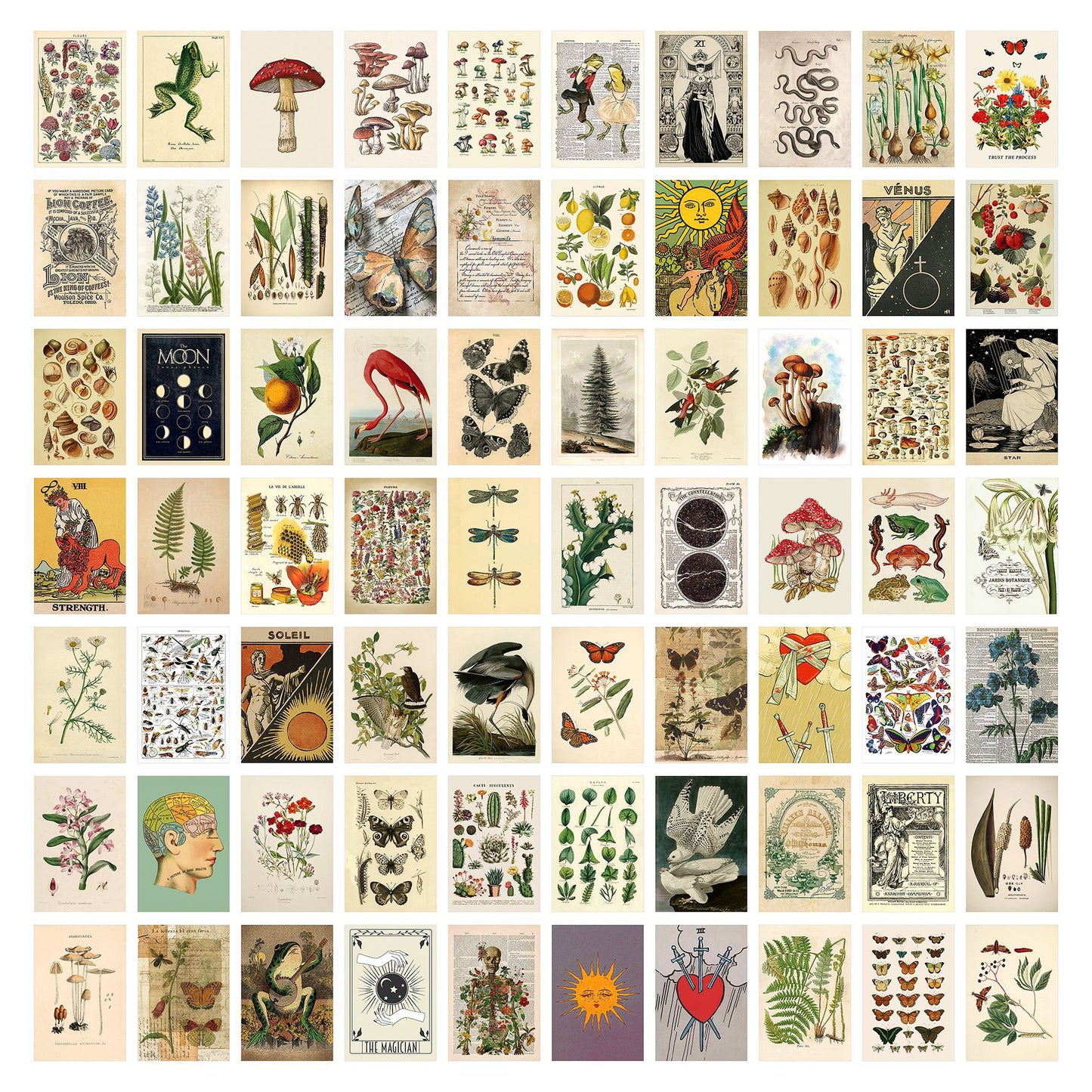 Cartolina Decorativa