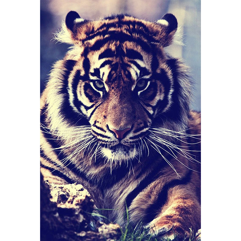 Quadro Tigre
