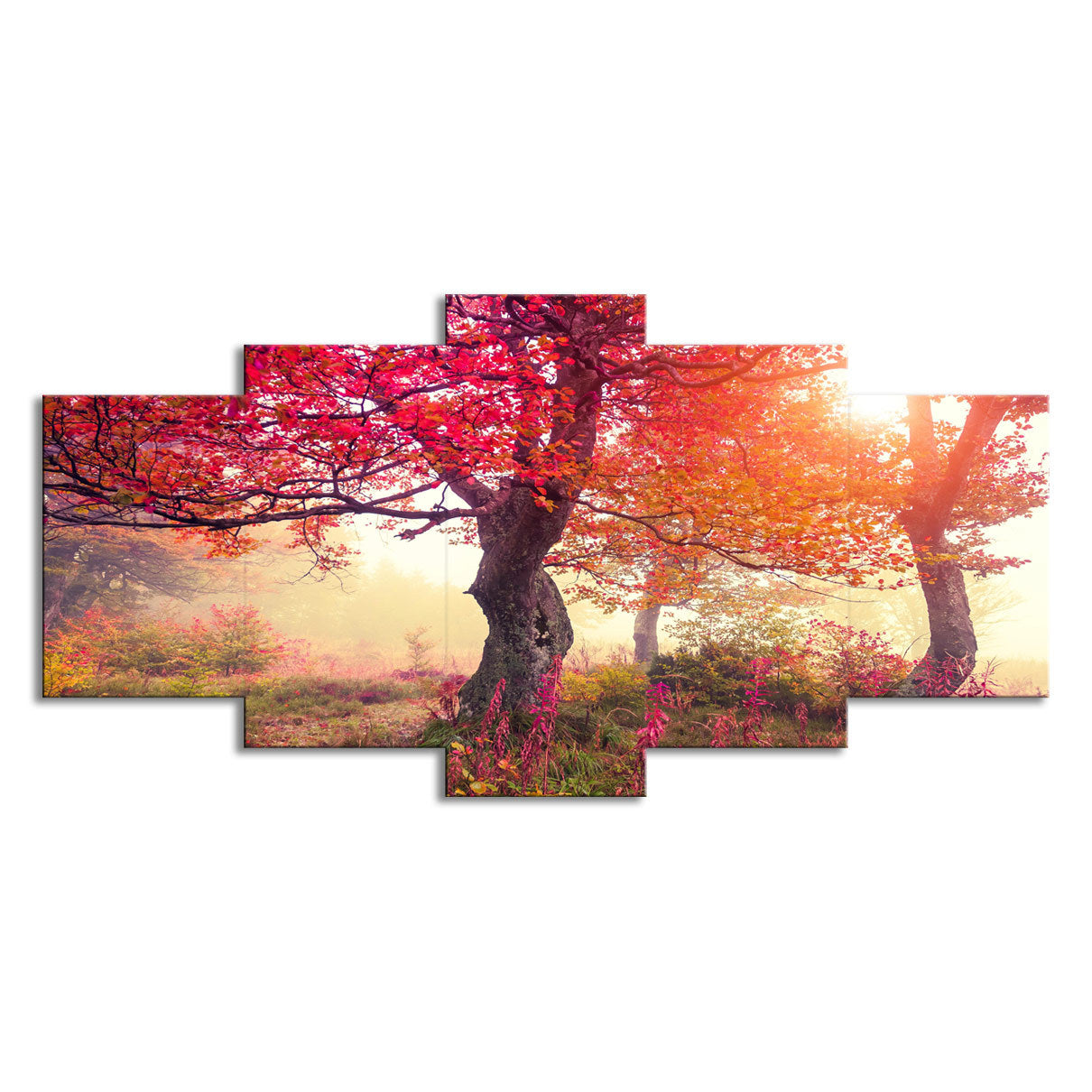 Quadri alberi autunnali