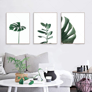 Quadro su tela Piante tropicali
