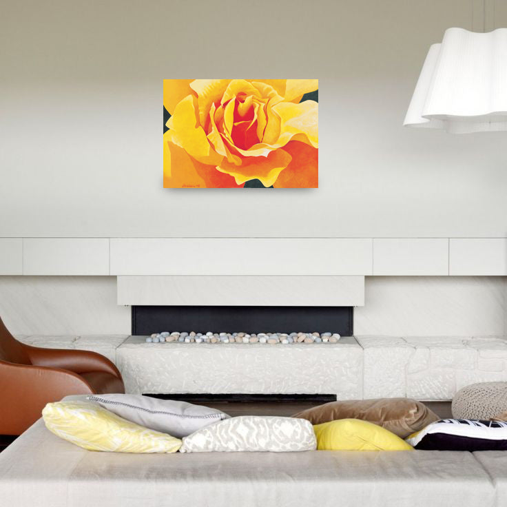 EC20316 amb