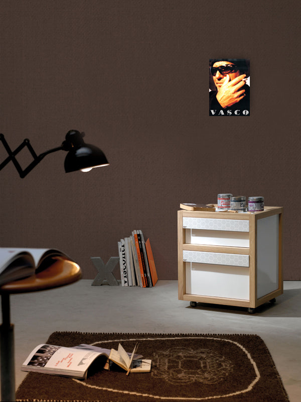 EC20386 amb