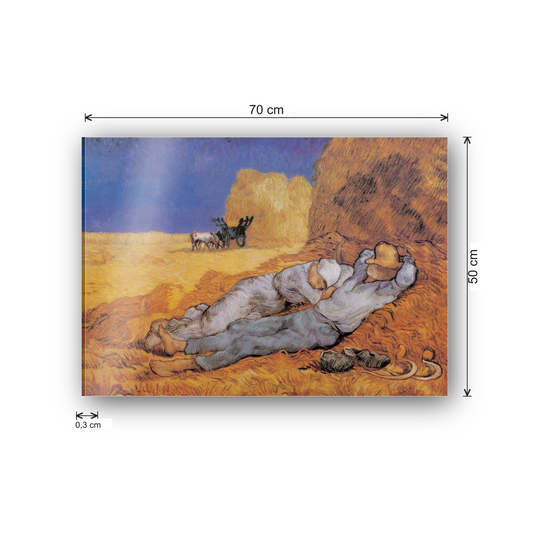 Homage to Van Gogh - The Afternoon Siesta cm 70x50 - misure