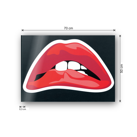 Homage to Rocky horror cm 70x50 - misure