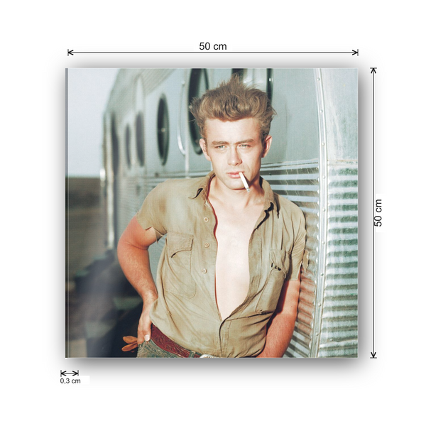 James Dean - cm 50x50 - Pannello Acrilico