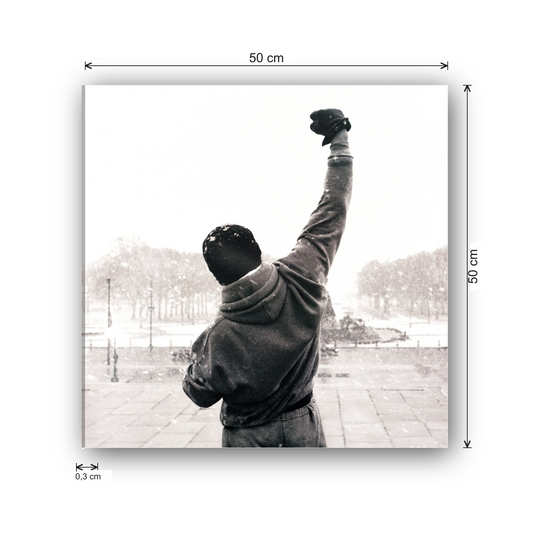 Homage to Rocky Balboa cm 50x50 - misure