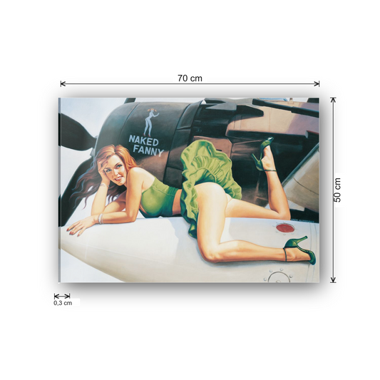 Pin up nacked funny cm 70x50 - misure