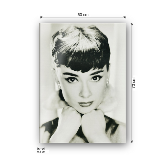 Homage to Audrey cm 50x70 - misure
