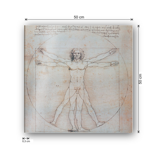 Homage to Leonardo - Vitruvian Man cm 50x50 - misure