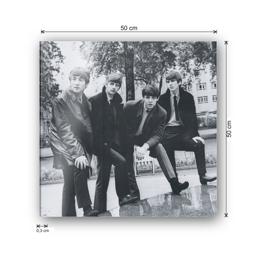The Beatles cm 50x50 - misure