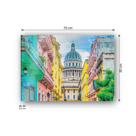 Hauser in calle barcellona Havanna cm 70x50 - misure