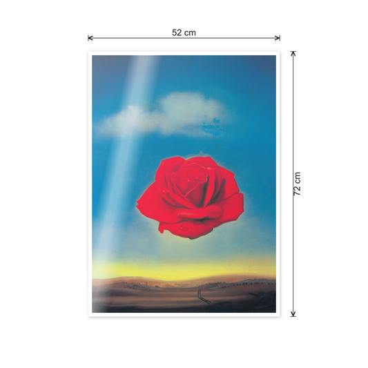 Homage to Dalì - Thoughtful Rose, 1958 cm 50x70 - misure