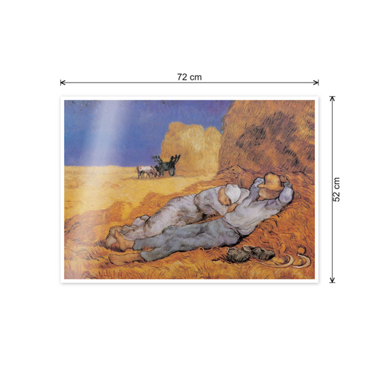 Homage to Van Gogh - The Afternoon Siesta cm 70x50 - misure