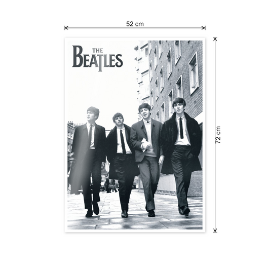 The Beatles cm 50x70 - misure