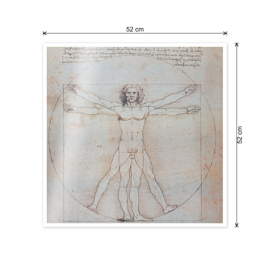 Homage to Leonardo - Vitruvian Man cm 50x50 - misure