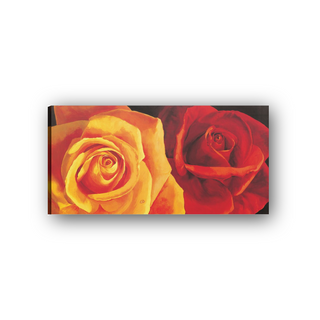 Roses - cm 100x50 - Tela Canvas