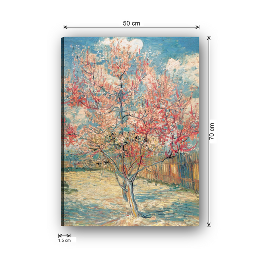 ATCAN1450 misure