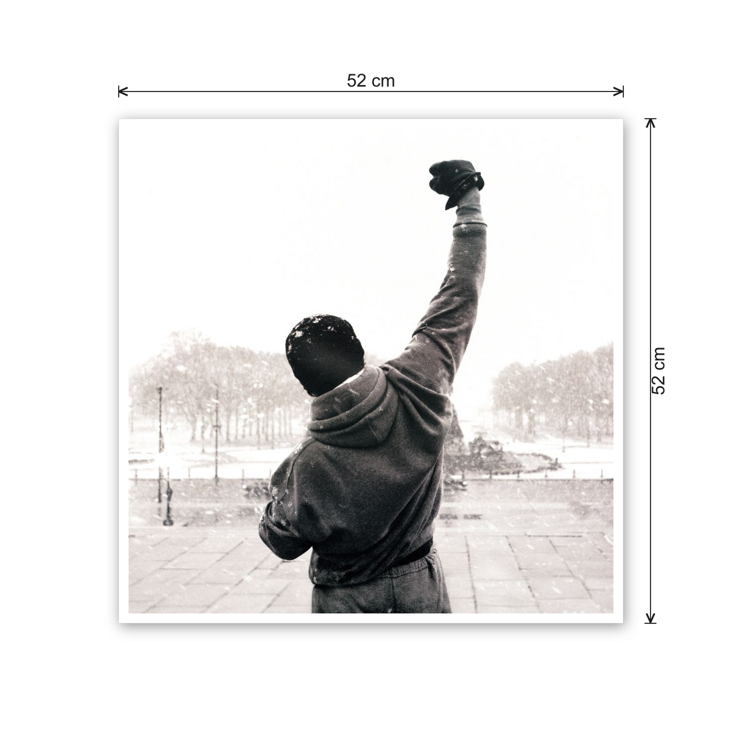 Homage to Rocky Balboa cm 50x50 - misure