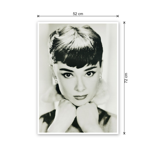 Homage to Audrey cm 50x70 - misure