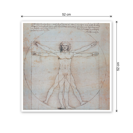 Homage to Leonardo - Vitruvian Man cm 50x50 - misure