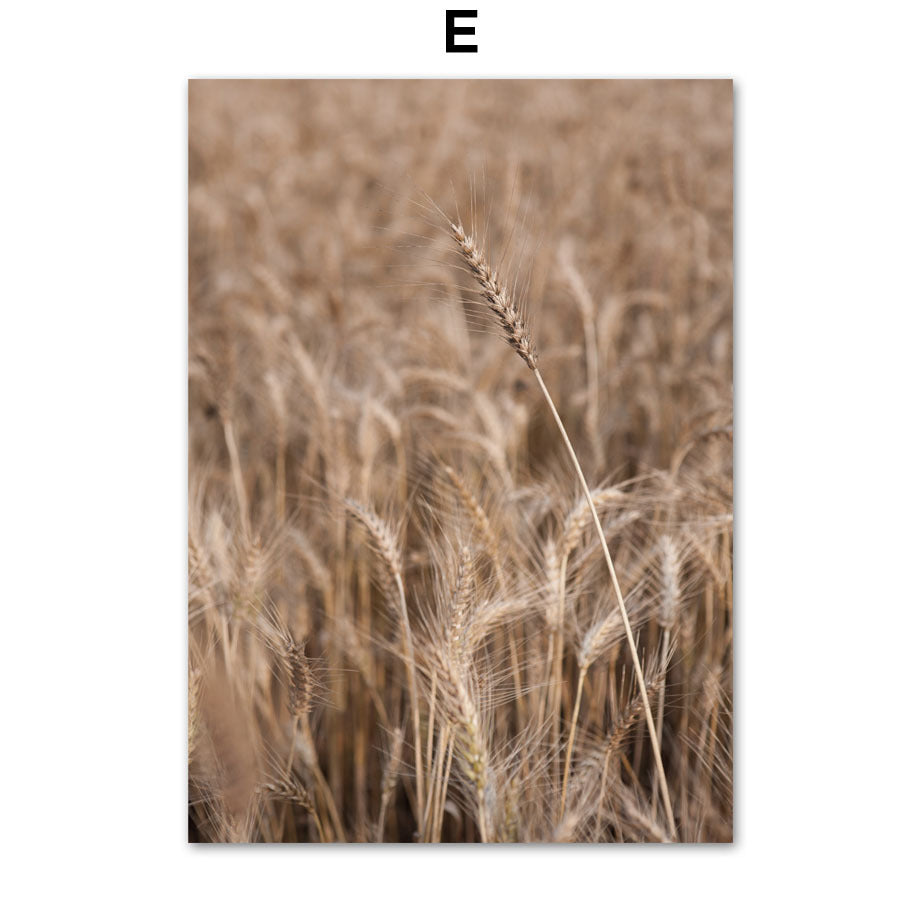 Stampa Paesaggio Naturale