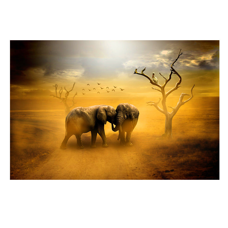 QUADRO ELEFANTE