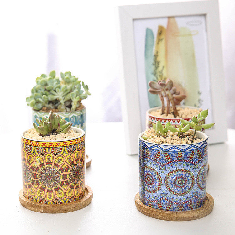 Vaso piante grasse mandala