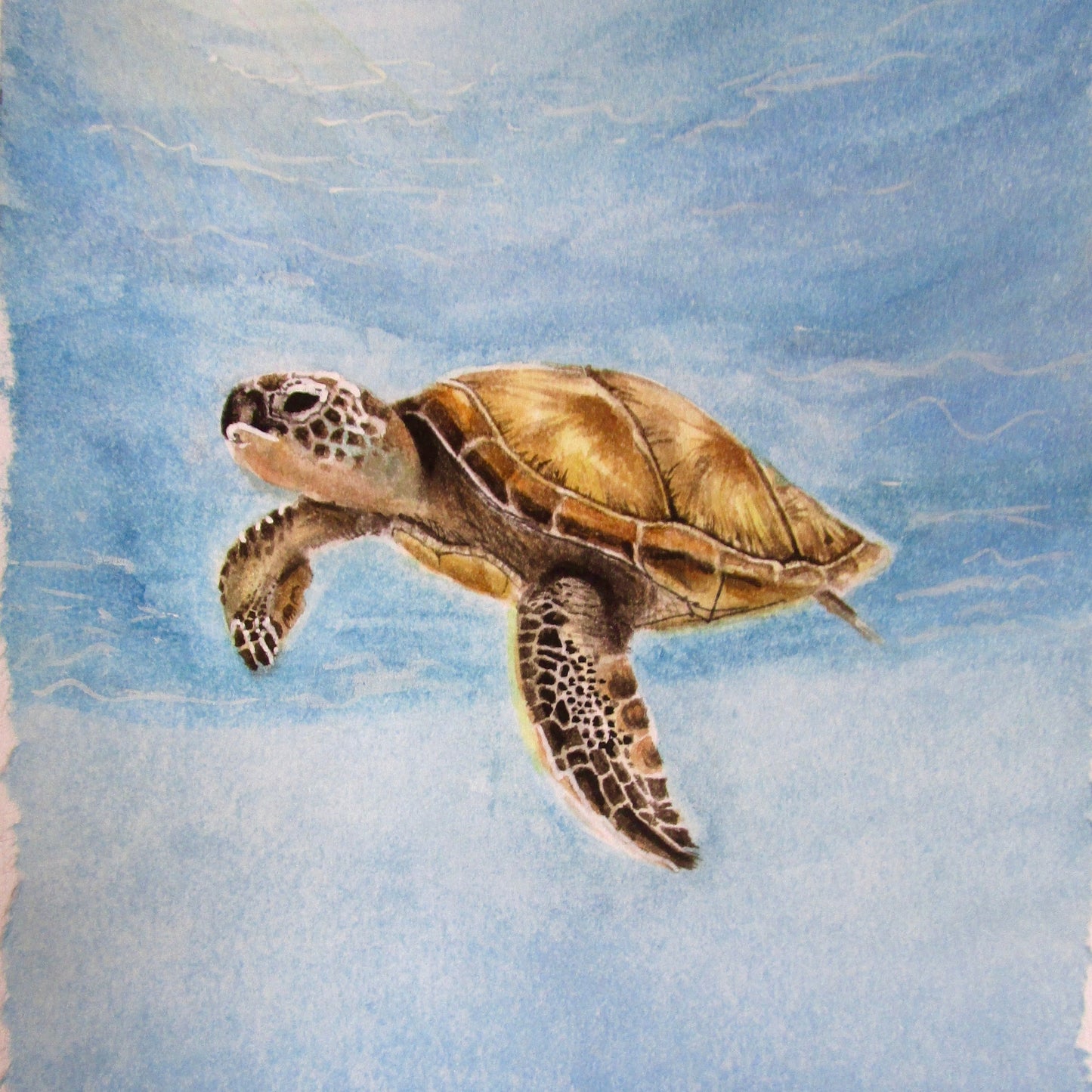 Quadro su tela