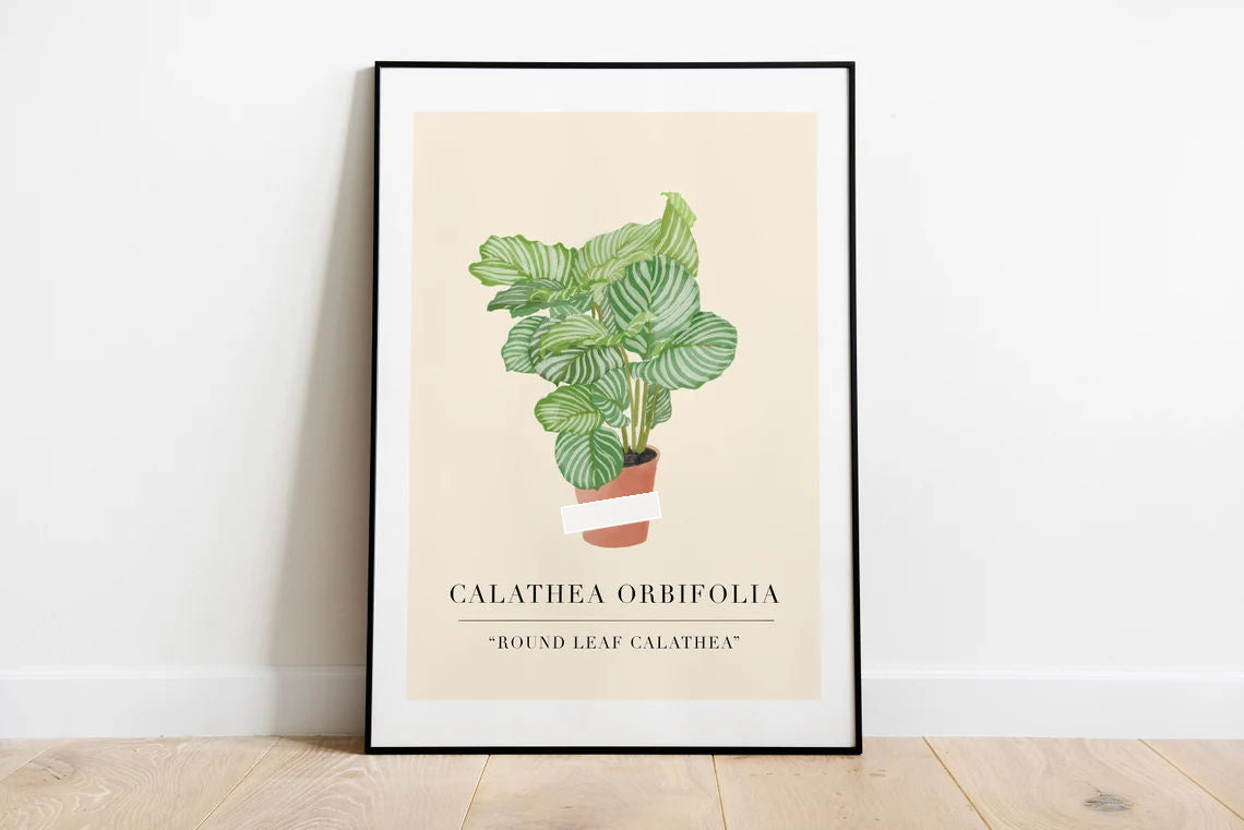 Poster caffetteria