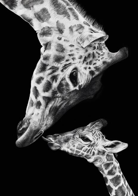 Tela Giraffa
