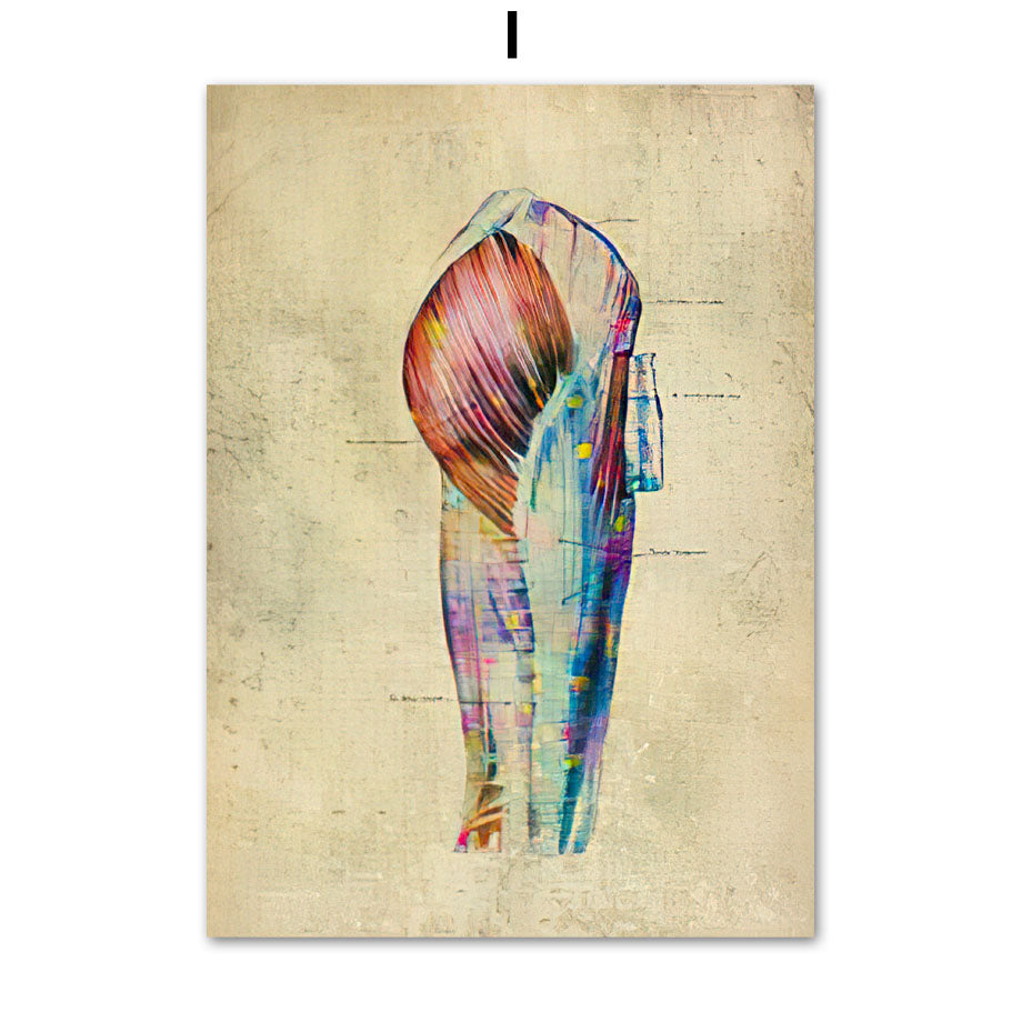 Poster Anatomico Retrò