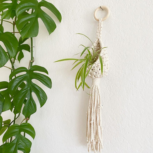 Arazzo Appendini macramé con piante