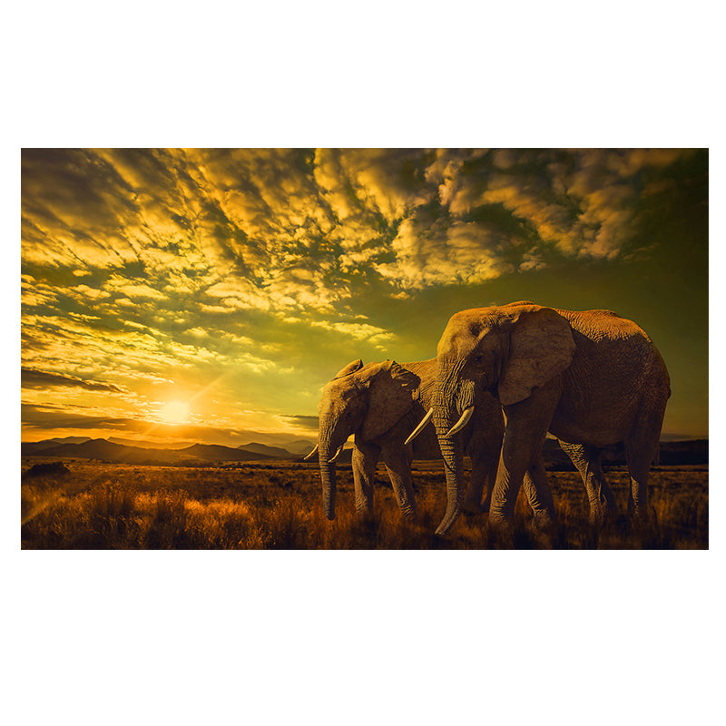 Quadro elefante